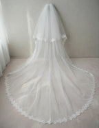 Velo Largo De Novia Blanco Doble Capa Con Brillo Con Peineta
